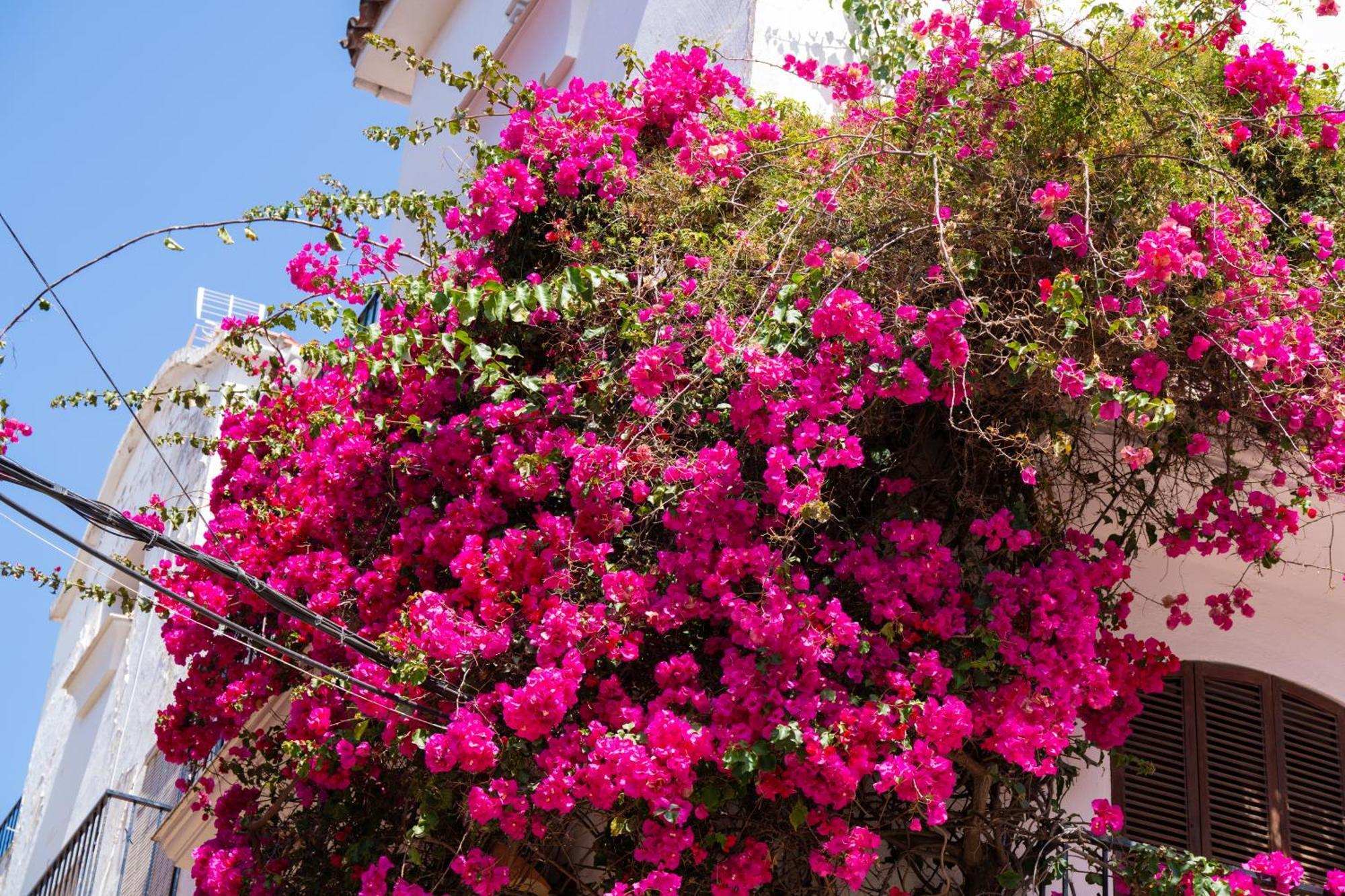 Marbella Luxury Duplex 106 Close To The Beach المظهر الخارجي الصورة