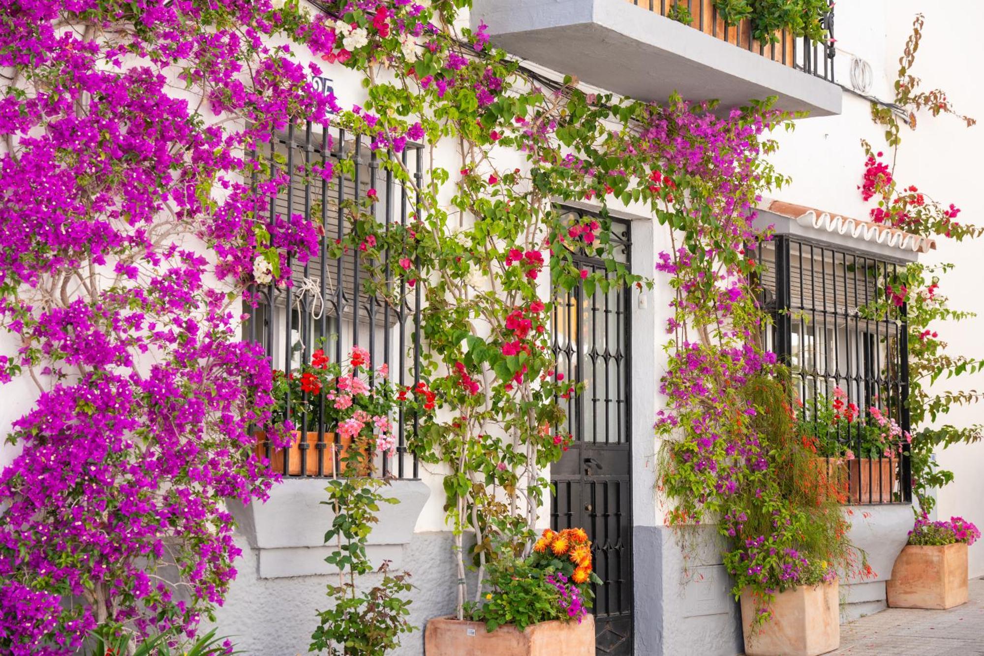 Marbella Luxury Duplex 106 Close To The Beach المظهر الخارجي الصورة